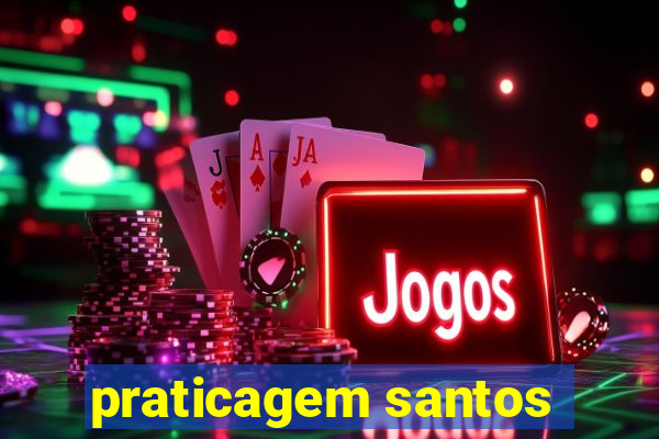 praticagem santos